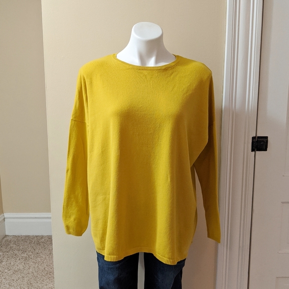 Zara Sweaters - Zara Knits sweater.